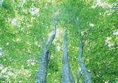 tkf001_108614
