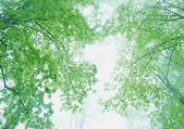tkf001_108624