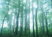 tkf001_108630