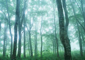 tkf001_108633