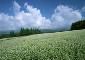 tkf001_109782