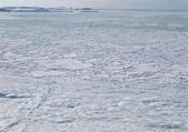 tkf001_110172