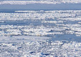 tkf001_110173
