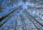 tkf001_111435