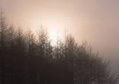 tkf001_111437