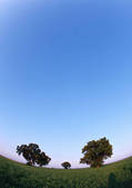 tkf001_111710