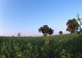 tkf001_111711