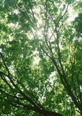 tkf001_111831