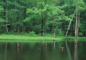tkf001_111944