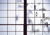 tkf001_114918