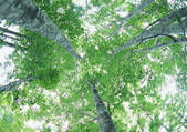 tkf001_116264
