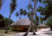 tkf001_116870