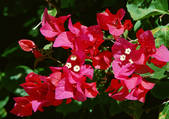 tkf001_119785