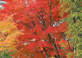 tkf001_120013