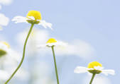 tkf001_120501