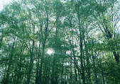 tkf001_123319