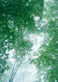 tkf001_123320