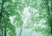 tkf001_123324