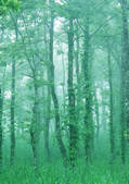 tkf001_123326