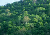tkf001_123328