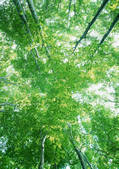 tkf001_123793