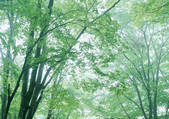 tkf001_123799