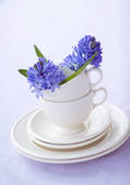 tkf001_124006