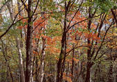 tkf001_129841