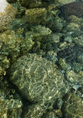tkf001_133973