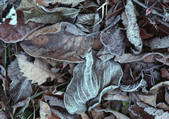 tkf001_134607