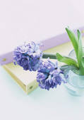 tkf001_137520