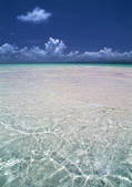 tkf001_138702
