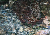 tkf001_139149