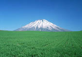 tkf001_150484