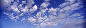 tkf001_162154