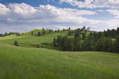 tkf001_164033