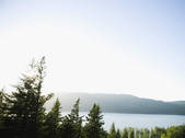 tkf001_195923