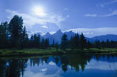tkf001_205721