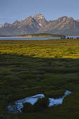 tkf001_205977