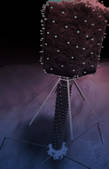tkf001_220123