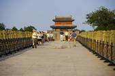 tkf001_303588