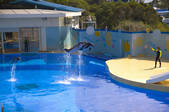 tkf001_303845
