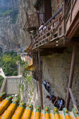 tkf001_303877