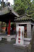 tkf001_304428