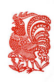tkf001_304939
