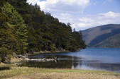 tkf001_307564