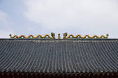 tkf001_307642