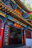 tkf001_307918