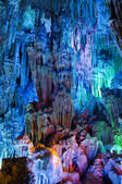 tkf001_308042