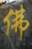tkf001_308529